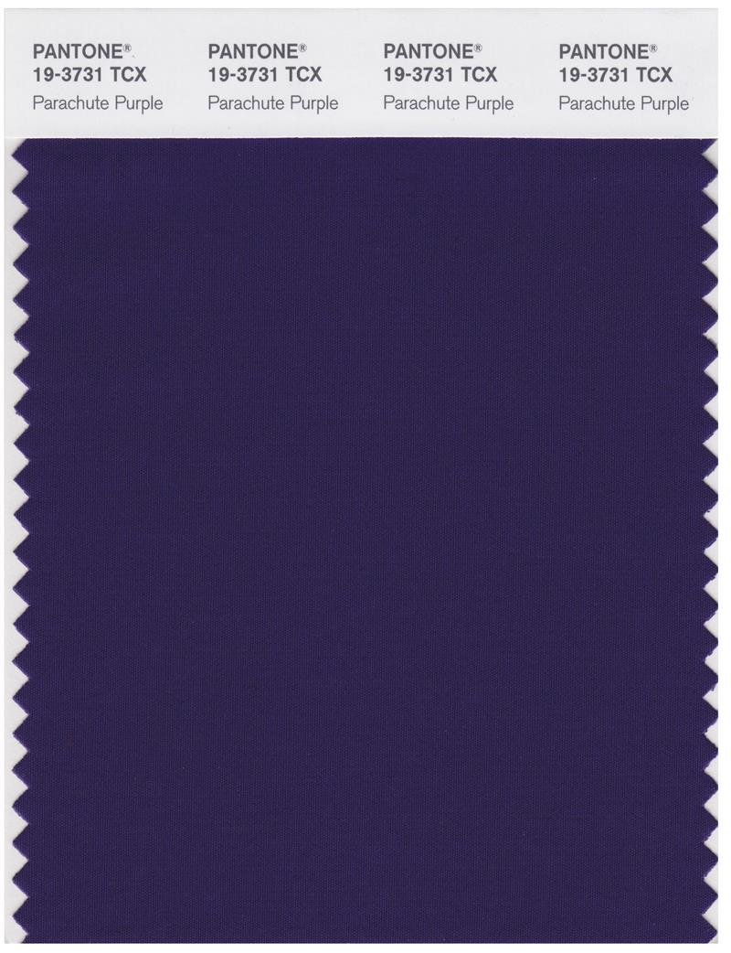 Pantone Smart 19-3731 TCX Color Swatch Card | Parachute Purple 