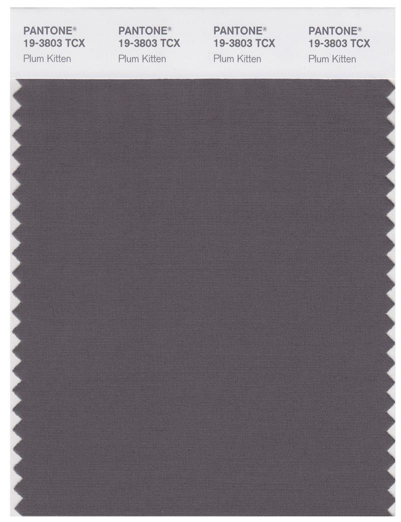 Pantone Smart 19-3803 TCX Color Swatch Card | Plum Kitten 