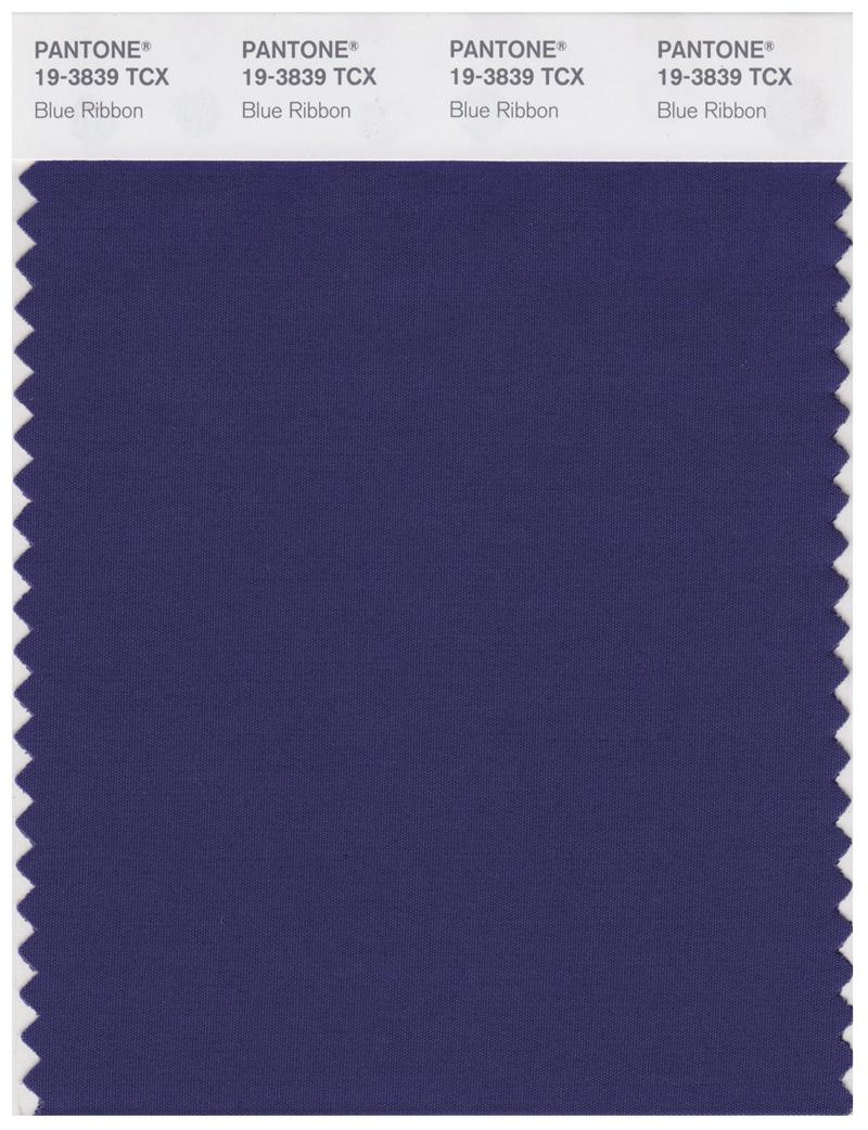 Pantone Smart 19-3839 TCX Color Swatch Card | Blue Ribbon 