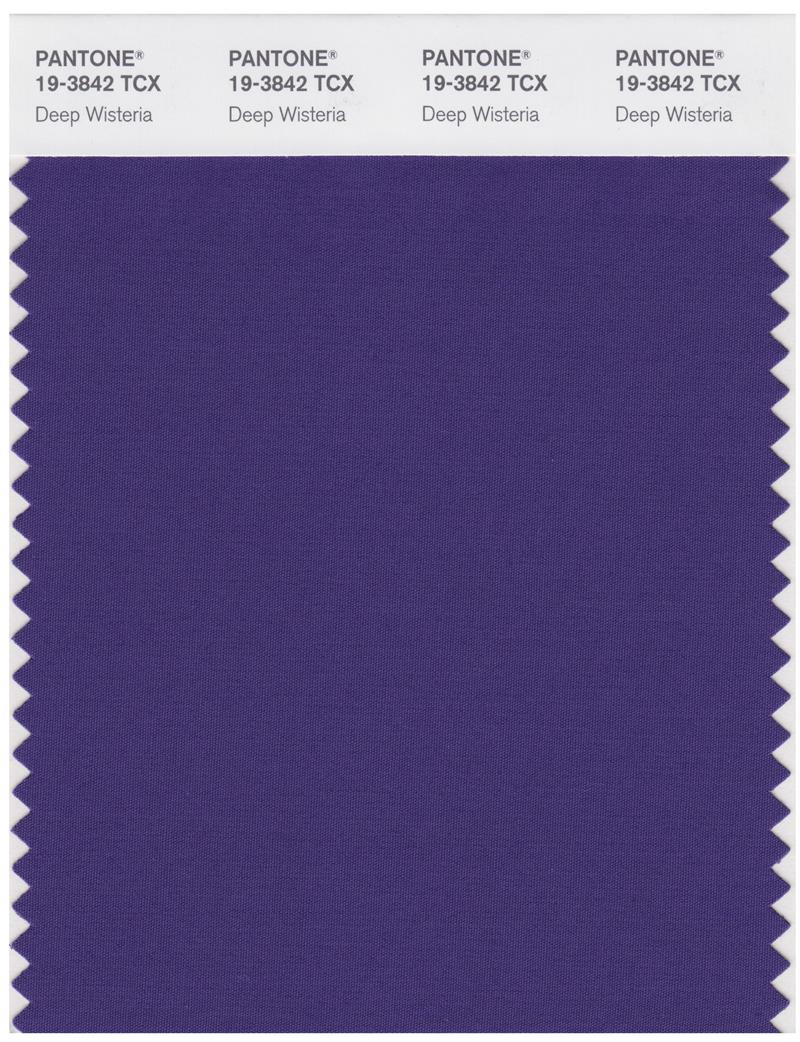 Pantone Smart 19-3842 TCX Color Swatch Card | Deep Wisteria 