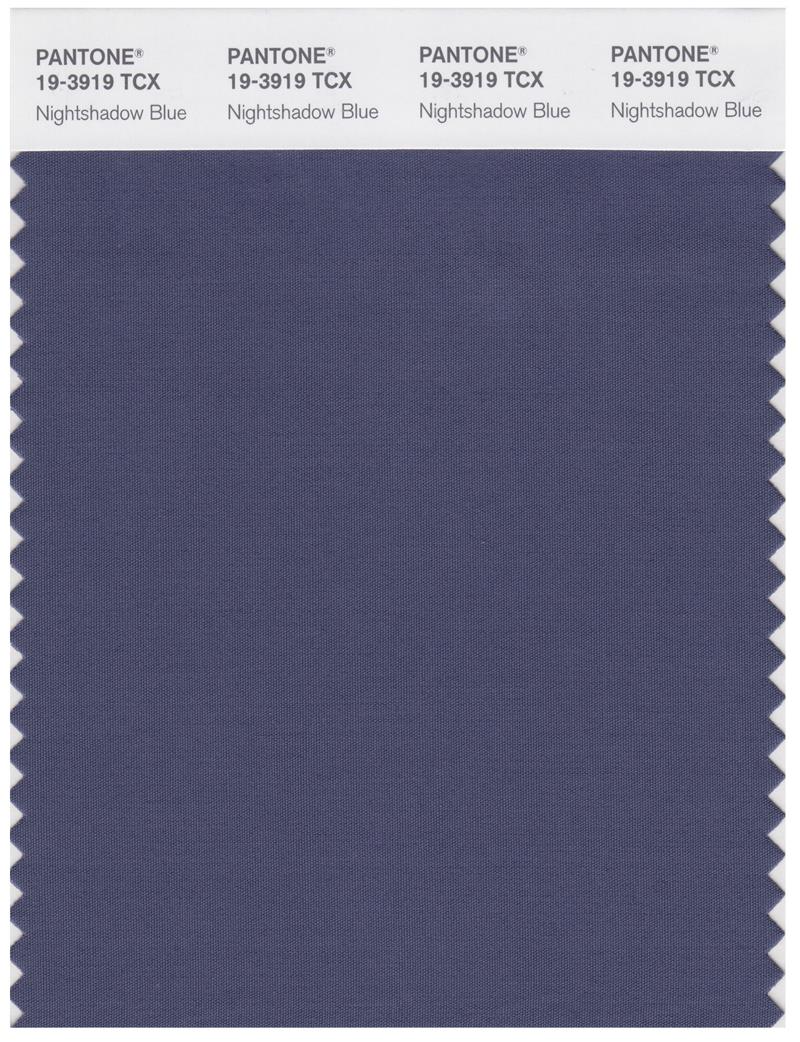 Pantone Smart 19-3919 TCX Color Swatch Card | Nightshadow Blue 