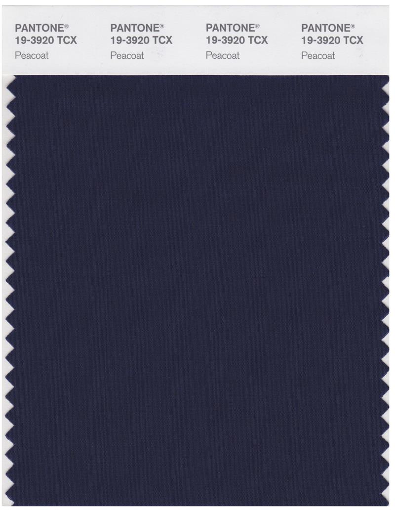 Pantone Smart 19-3920 TCX Color Swatch Card | Peacoat 