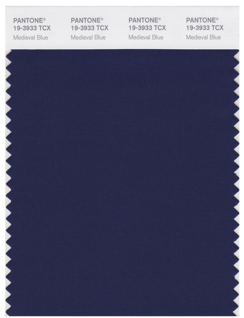 Pantone Smart 19-3933 TCX Color Swatch Card | Medieval Blue 