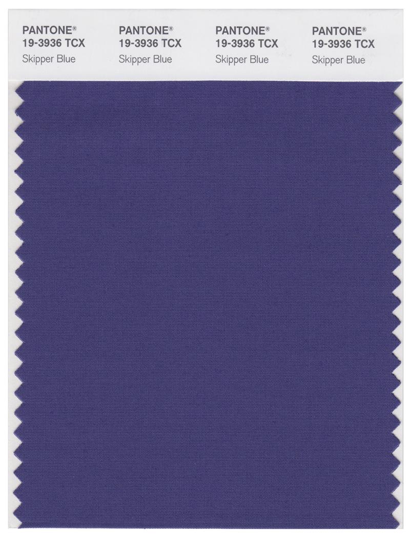 Pantone Smart 19-3936 TCX Color Swatch Card | Skipper Blue 