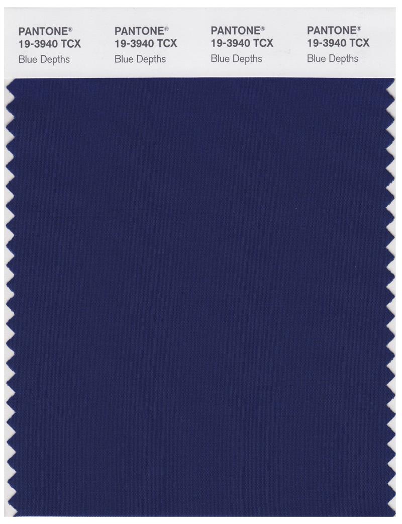 Pantone Smart 19-3940 TCX Color Swatch Card | Blue Depths 