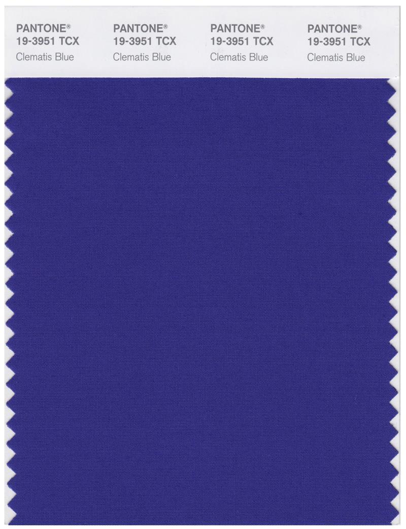 Pantone Smart 19-3951 TCX Color Swatch Card | Celmatis Blue 