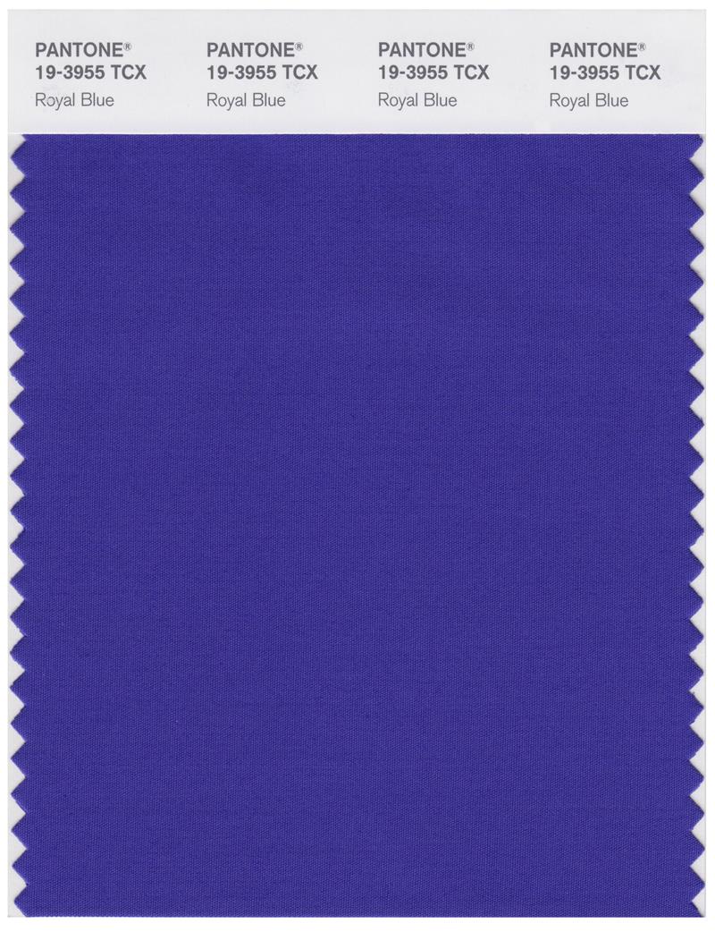 Pantone Smart 19-3955 TCX Color Swatch Card | Royal Blue 