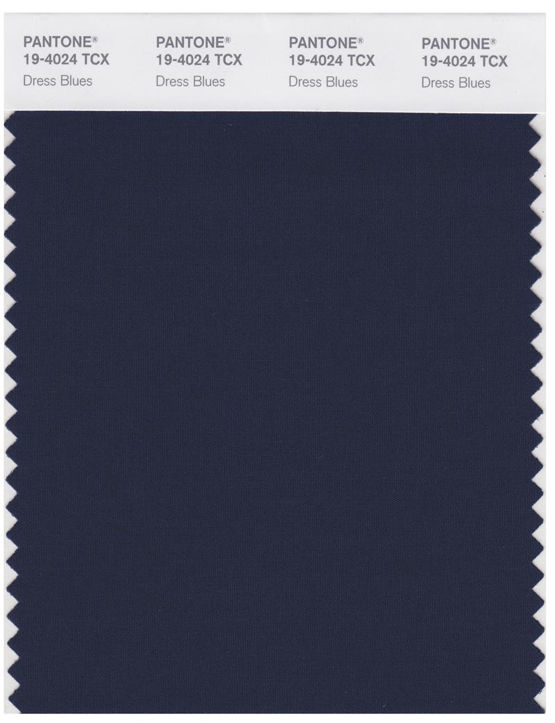 Pantone Smart 19-4024 TCX Color Swatch Card | Dress Blues 