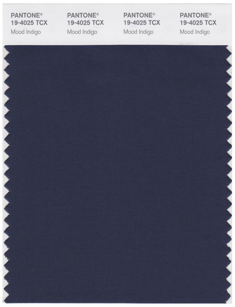 Pantone Smart 19-4025 TCX Color Swatch Card | Mood Indigo 