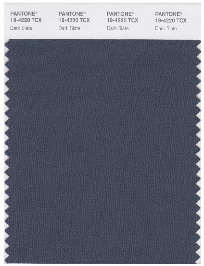 Pantone Smart 19-4220 TCX Color Swatch Card | Dark Slate 