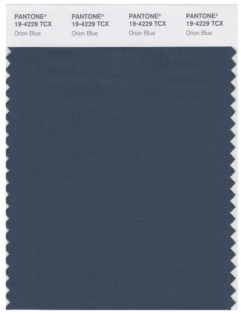 Pantone Smart 19-4229 TCX Color Swatch Card | Orion Blue 