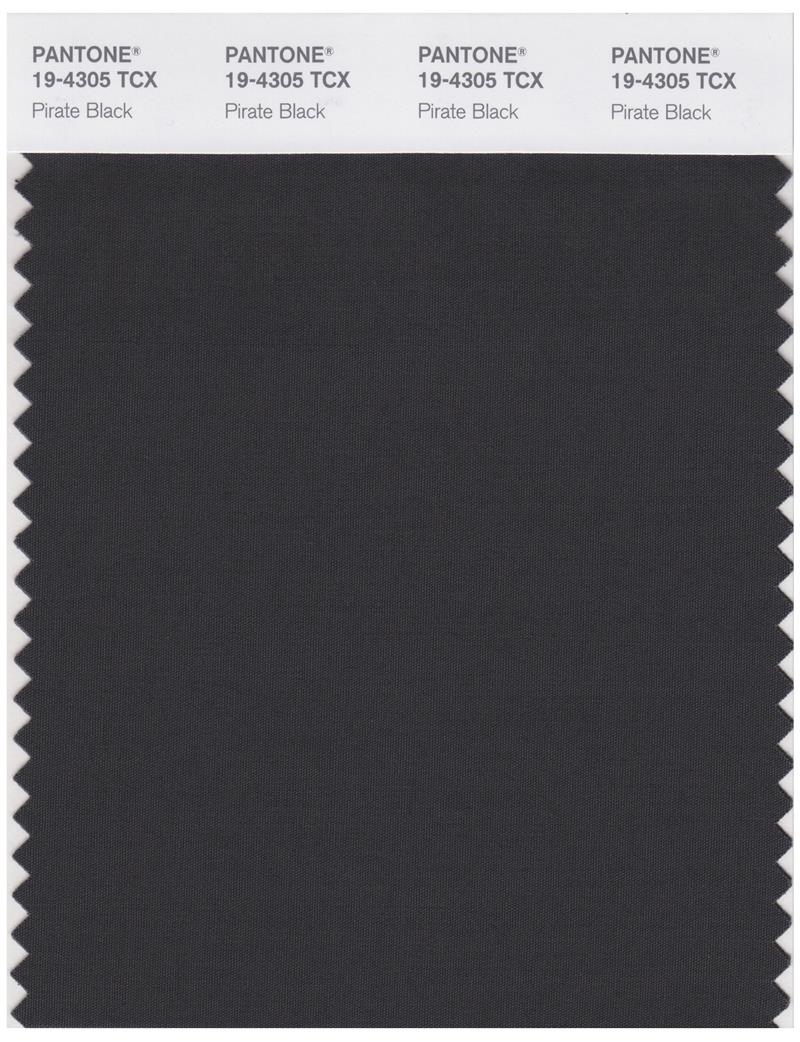 Pantone Smart 19-4305 TCX Color Swatch Card | Pirate Black 