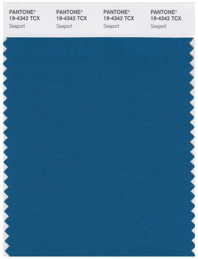 Pantone Smart 19-4342 TCX Color Swatch Card | Seaport 