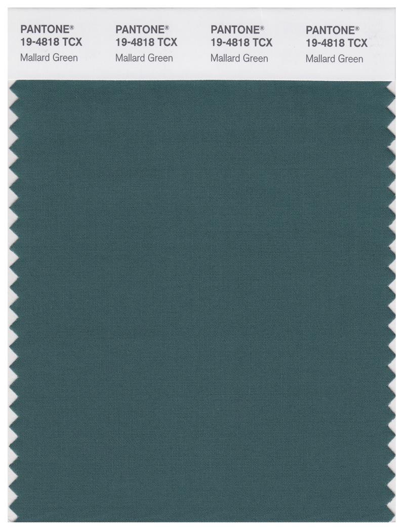 Pantone Smart 19-4818 TCX Color Swatch Card | Mallard Green 