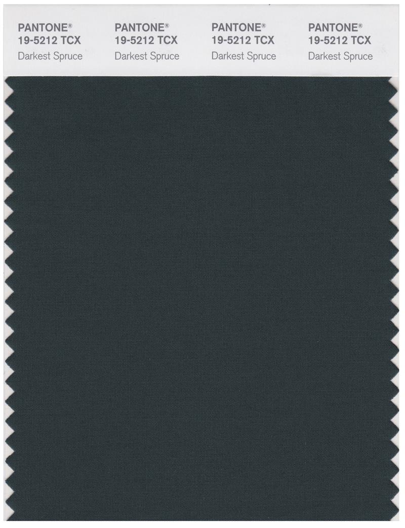 Pantone Smart 19-5212 TCX Color Swatch Card | Darkest Spruce 