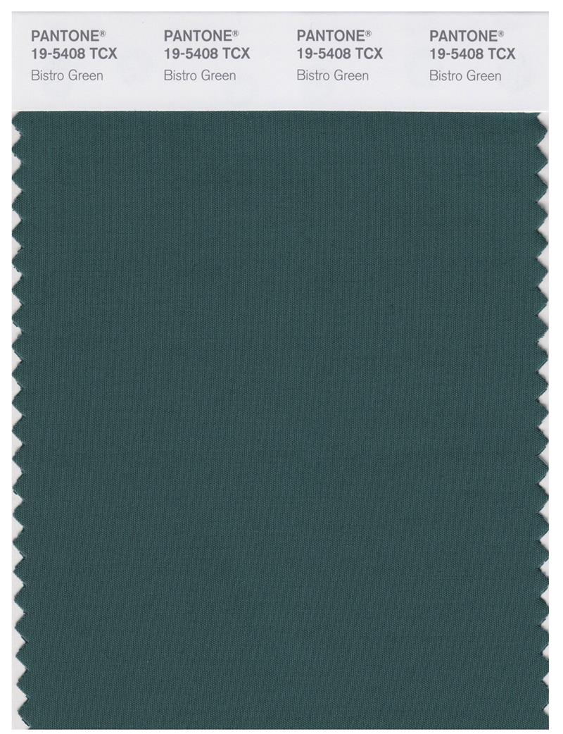 Pantone Smart 19-5408 TCX Color Swatch Card | Bistro Green 