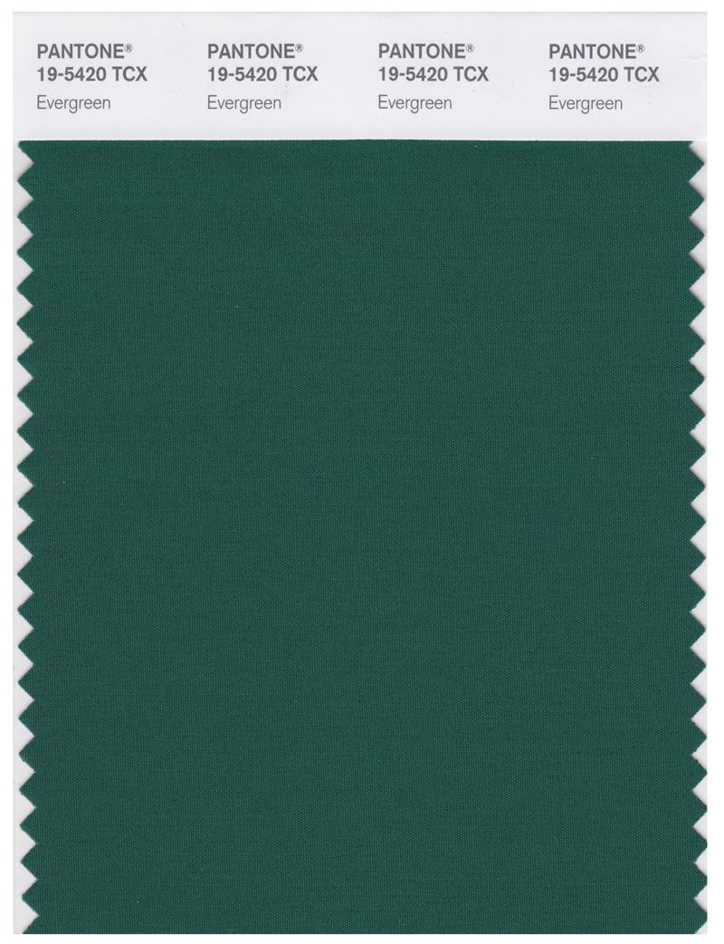 Pantone Smart 19-5420 TCX Color Swatch Card | Evergreen 