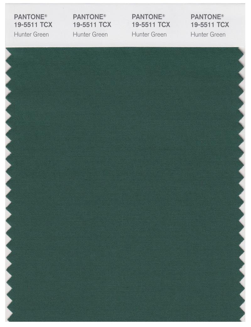 Pantone Smart 19-5511 TCX Color Swatch Card | Hunter Green 