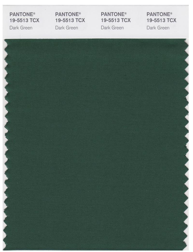 Pantone Smart 19-5513 TCX Color Swatch Card | Dark Green 