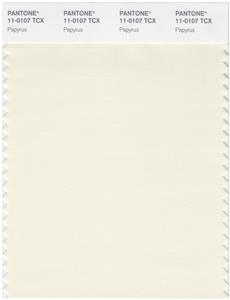 Pantone Smart 11-0107 TCX Color Swatch Card | Papyrus 