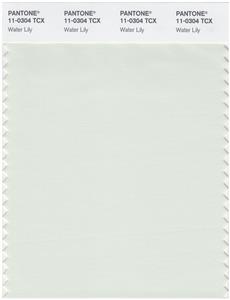 Pantone Smart 11-0304 TCX Color Swatch Card | Water Lily 