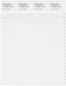 Pantone Smart 11-0602 TCX Color Swatch Card | Snow White 