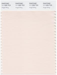 Pantone Smart 11-1305 TCX Color Swatch Card | Angel Wing 