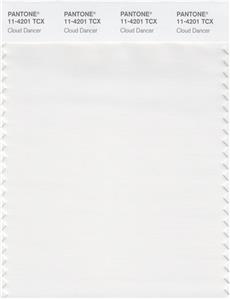 Pantone Smart 11-4201 TCX Color Swatch Card | Cloud Dancer 