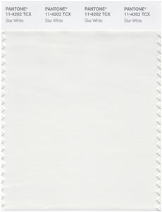 Pantone Smart 11-4202 TCX Color Swatch Card | Star White 