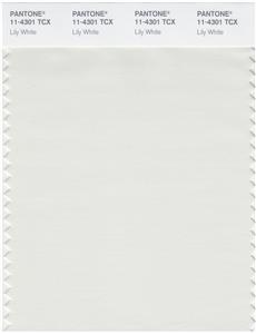 Pantone Smart 11-4301 TCX Color Swatch Card | Lily White 