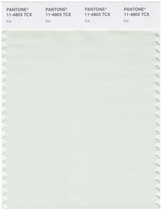 Pantone Smart 11-4803 TCX Color Swatch Card | Ice 