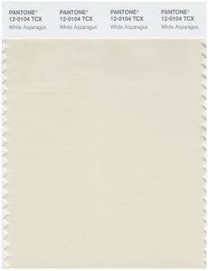 Pantone Smart 12-0104 TCX Color Swatch Card | White Asparagus 