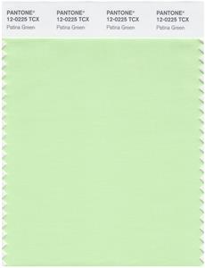 Pantone Smart 12-0225 TCX Color Swatch Card | Patina Green 