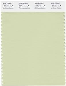 Pantone Smart 12-0313 TCX Color Swatch Card | Seafoam Green 