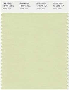 Pantone Smart 12-0315 TCX Color Swatch Card | White Jade 