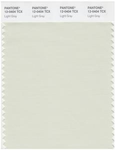 Pantone Smart 12-0404 TCX Color Swatch Card | Light Gray 