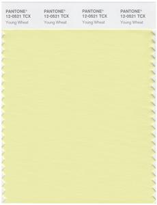 Pantone Smart 12-0521 TCX Color Swatch Card | Young Wheat 