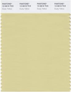 Pantone Smart 12-0619 TCX Color Swatch Card | Dusty Yellow 