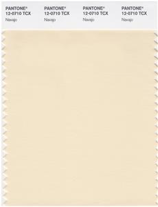 Pantone Smart 12-0710 TCX Color Swatch Card | Navajo 