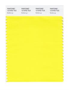 Pantone Swatch 12-0752 TCX Color Swatch Card 