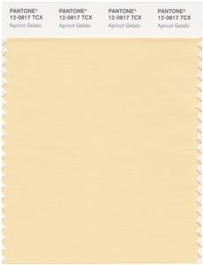 Pantone Smart 12-0817 TCX Color Swatch Card | Apricot Gelato 