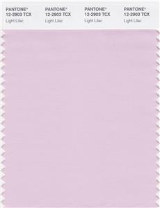 Pantone Smart 12-2903 TCX Color Swatch Card | Light Lilac 