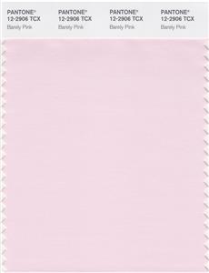 Pantone Smart 12-2906 TCX Color Swatch Card | Barely Pink 