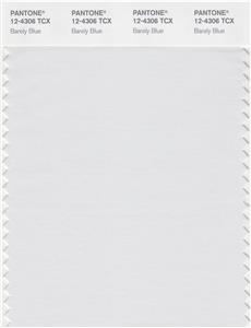 Pantone Smart 12-4306 TCX Color Swatch Card | Barely Blue 