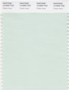 Pantone Smart 12-5504 TCX Color Swatch Card | Clearly Aqua 