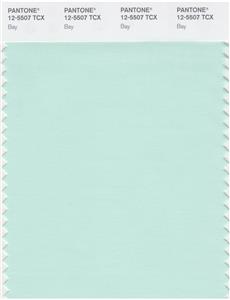 Pantone Smart 12-5507 TCX Color Swatch Card | Bay 