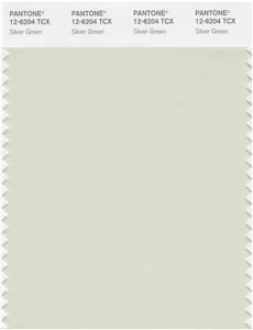 Pantone Smart 12-6204 TCX Color Swatch Card | Silver Green 