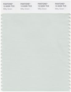 Pantone Smart 12-6205 TCX Color Swatch Card | Milky Green 