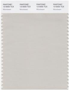 Pantone Smart 13-0000 TCX Color Swatch Card | Moonbeam 