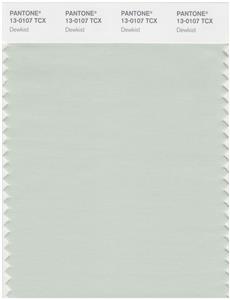 Pantone Smart 13-0107 TCX Color Swatch Card | Dewkist 